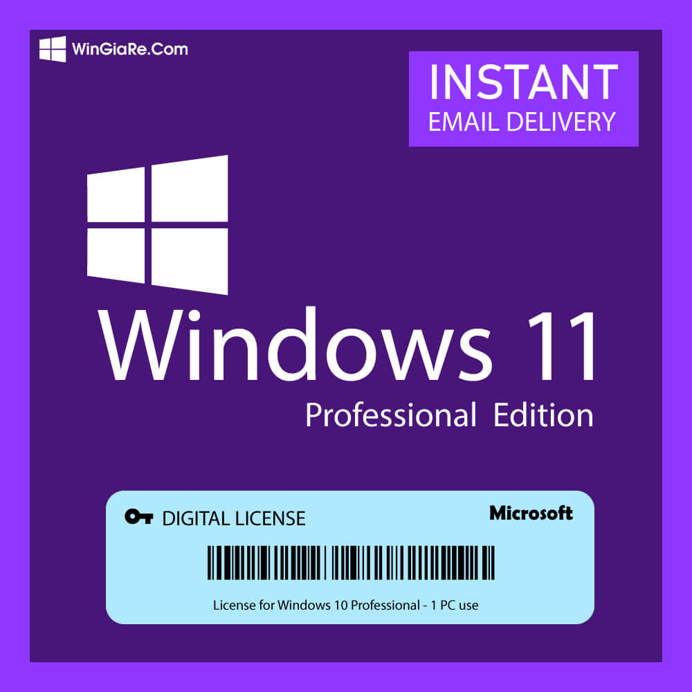 Microsoft Windows 11 Pro License Key